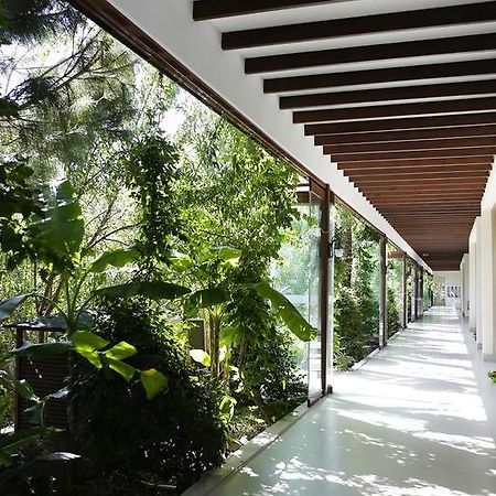 The Lifeco Bodrum Well-Being Detox Center And Vegan Hotel (Adults Only) Golturkbuku Exteriér fotografie