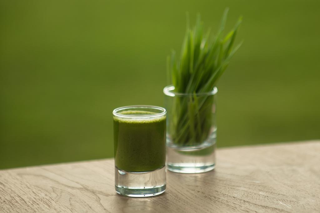 The Lifeco Bodrum Well-Being Detox Center And Vegan Hotel (Adults Only) Golturkbuku Pokoj fotografie