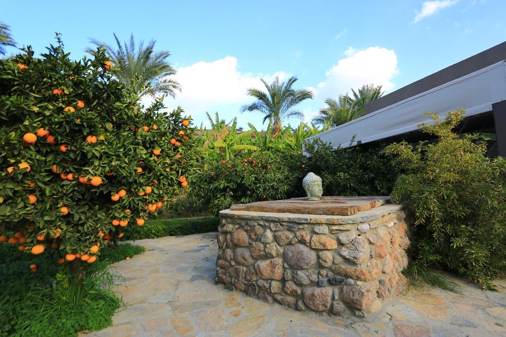 The Lifeco Bodrum Well-Being Detox Center And Vegan Hotel (Adults Only) Golturkbuku Exteriér fotografie