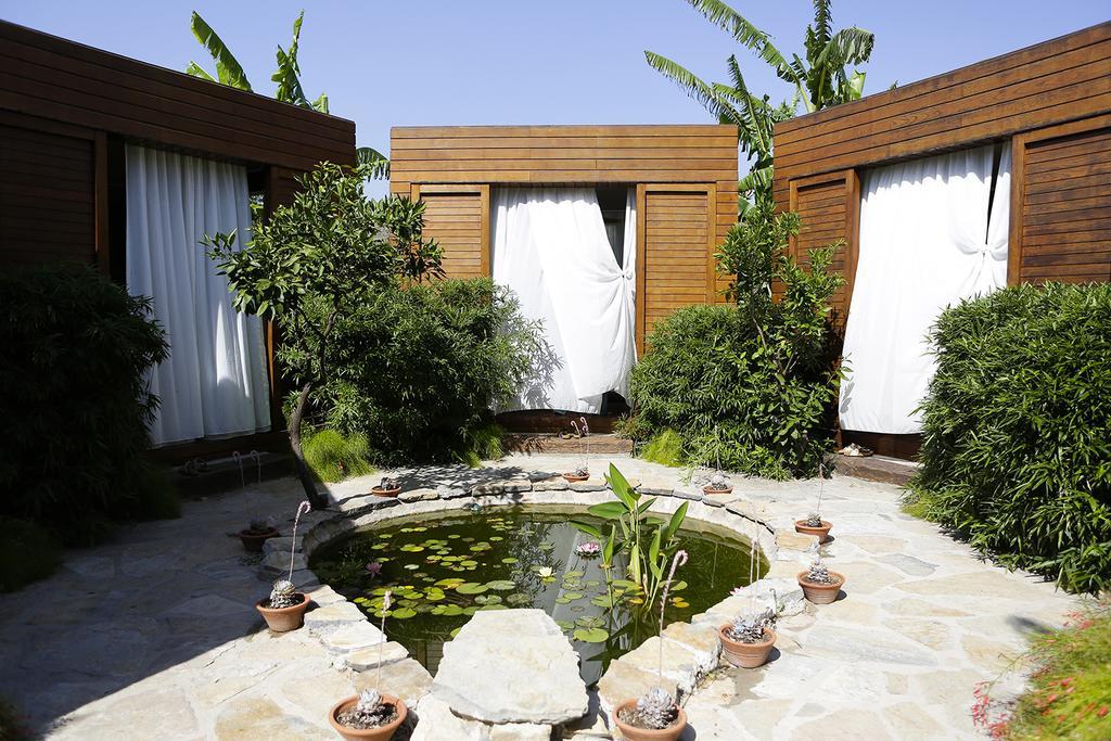 The Lifeco Bodrum Well-Being Detox Center And Vegan Hotel (Adults Only) Golturkbuku Exteriér fotografie