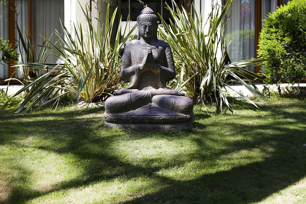 The Lifeco Bodrum Well-Being Detox Center And Vegan Hotel (Adults Only) Golturkbuku Exteriér fotografie